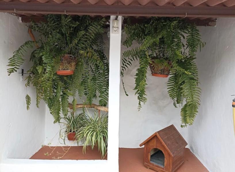 Casa Rural La Yedra San Mateo Arbejales Kültér fotó