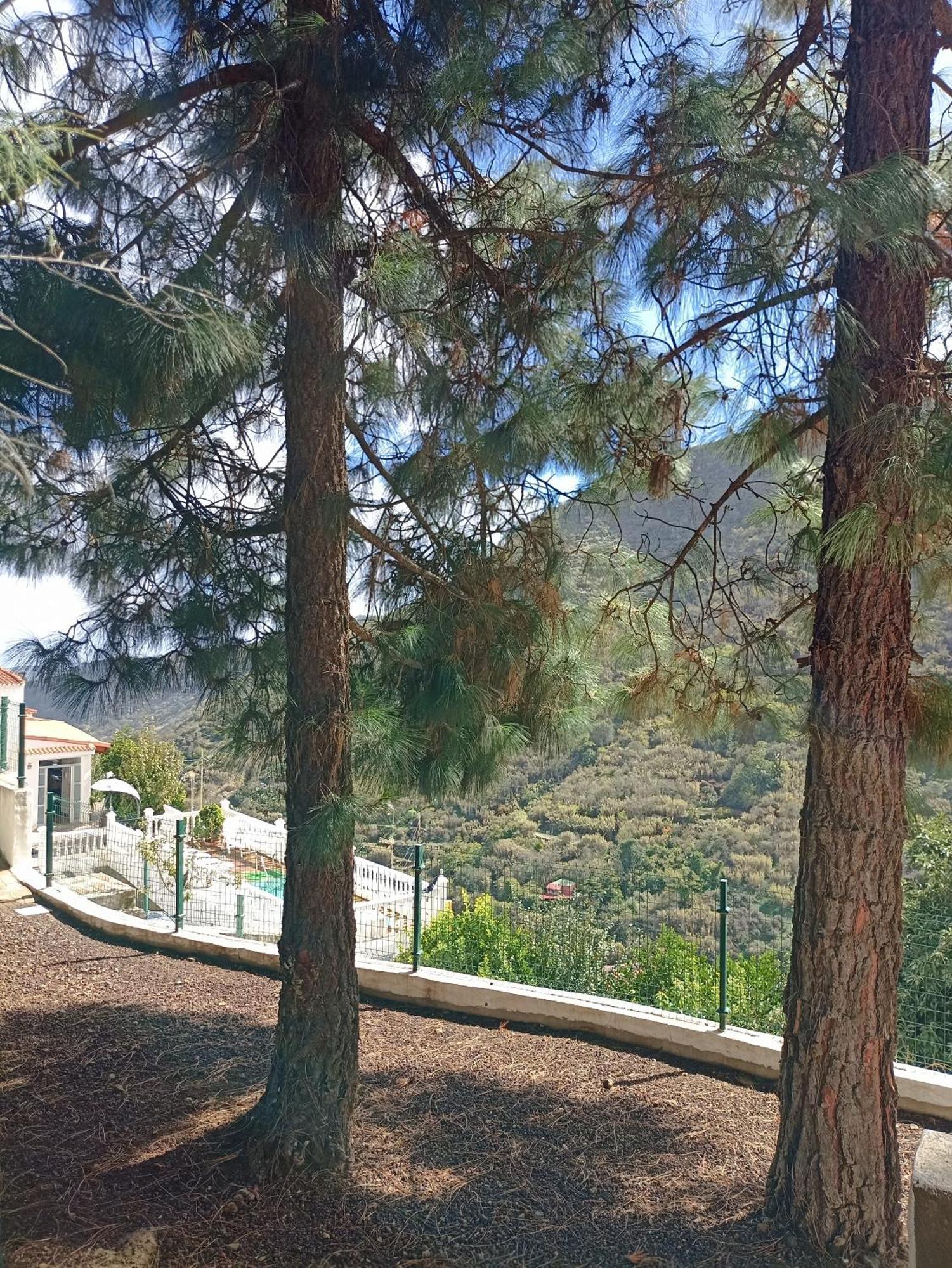 Casa Rural La Yedra San Mateo Arbejales Kültér fotó