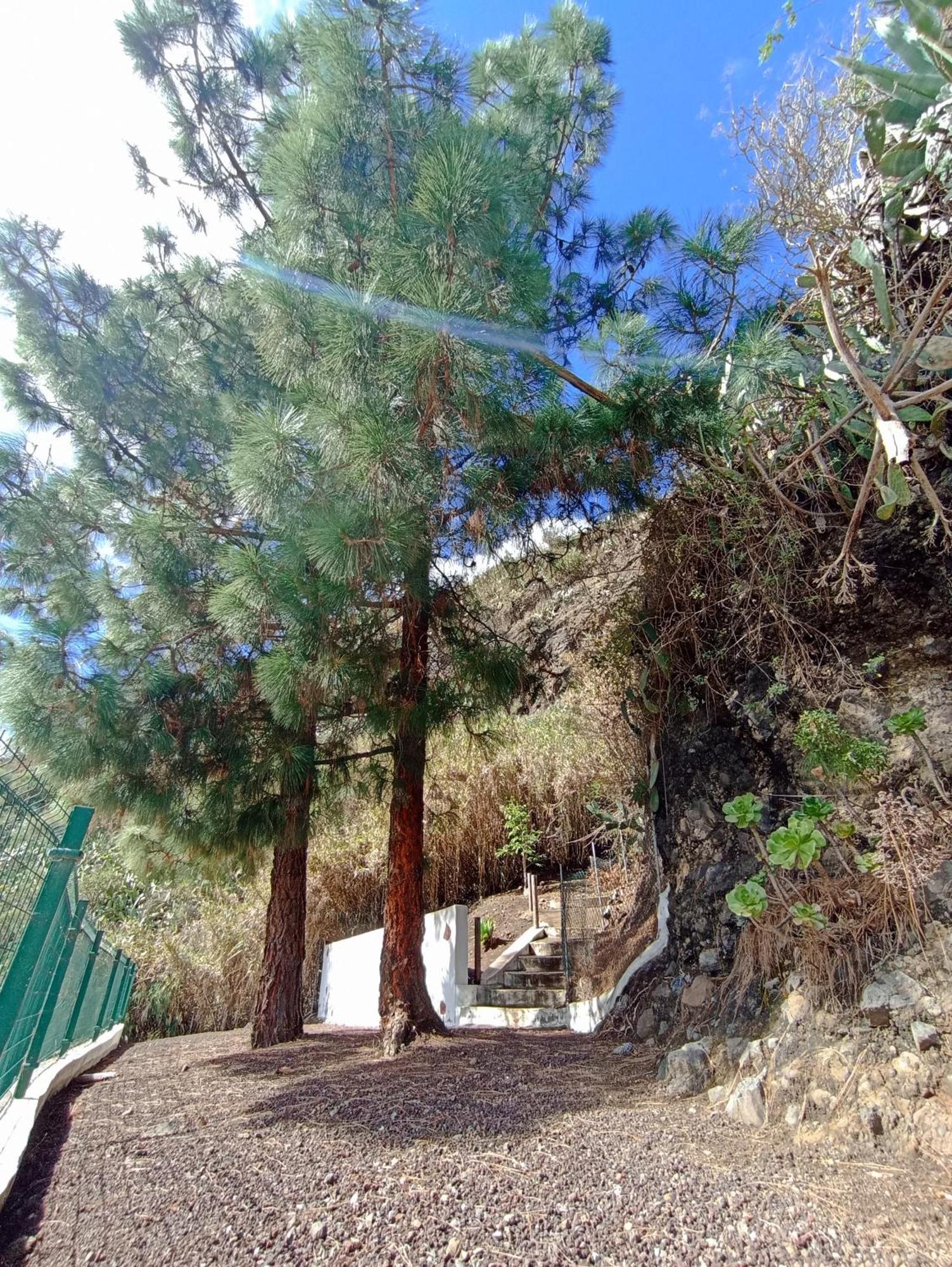 Casa Rural La Yedra San Mateo Arbejales Kültér fotó